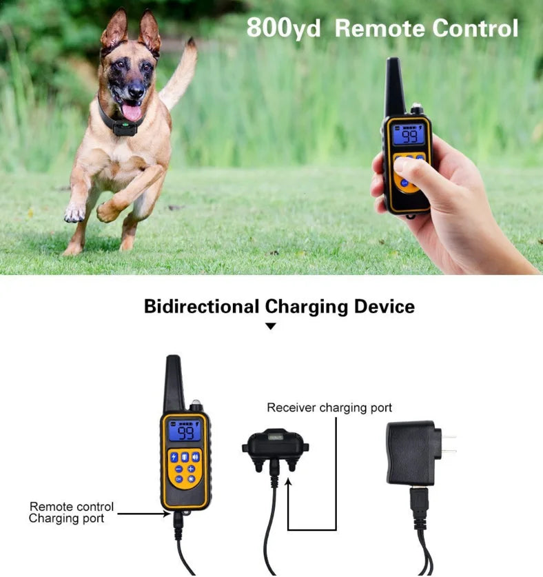 Elektrisk hundträning E-halsband – Säkert, effektivt fjärrkontroll